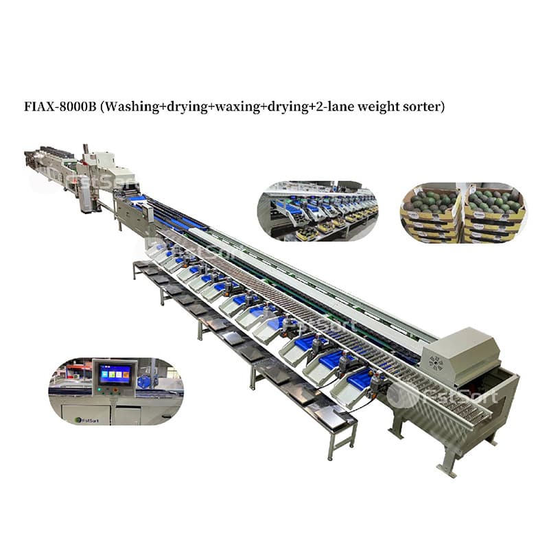 images/1666080037768avocado processing line.jpg